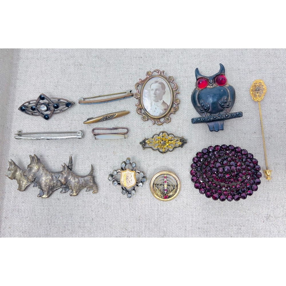Victorian Edwardian Bohemian Garnet, Scottie Dog, Mourning C Clasp Brooch Lot